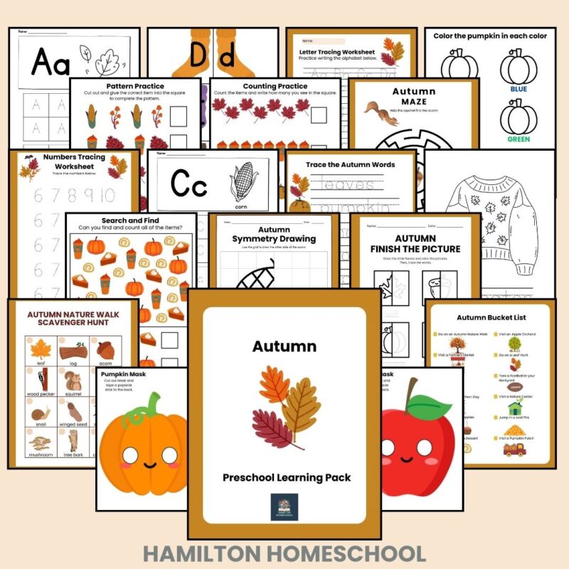 Seasons Preschool Worksheets Mega Bundle 4 Seasons Activity Sheets Winter Spring Summer Fall Autumn - Image 4