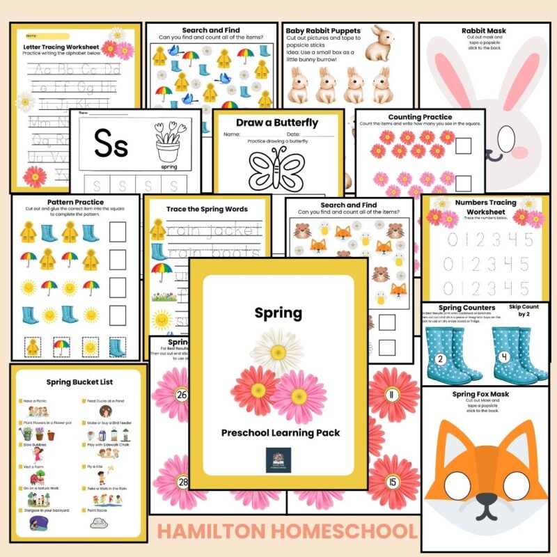 Seasons Preschool Worksheets Mega Bundle 4 Seasons Activity Sheets Winter Spring Summer Fall Autumn - Image 2