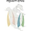 Migration - Image 4