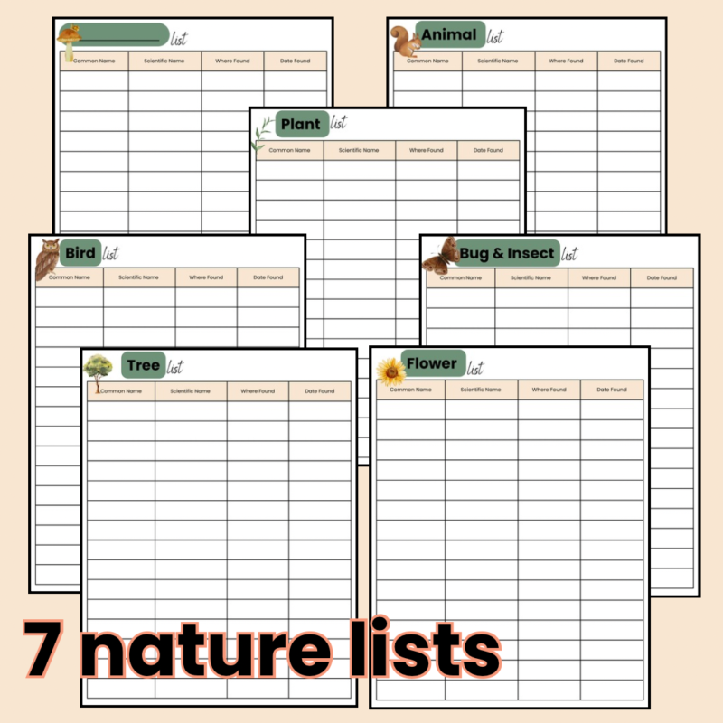 Printable Nature Journal For Kids Charlotte Mason Inspired - Image 4