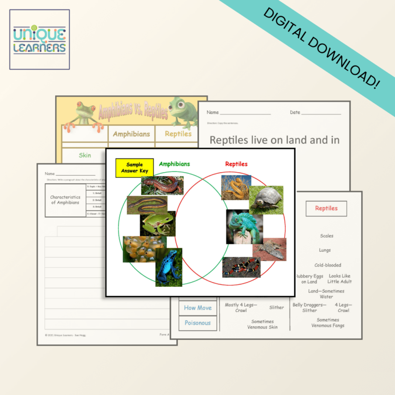 Amphibians VS Reptiles Sorting and Classification Activities Digital Download