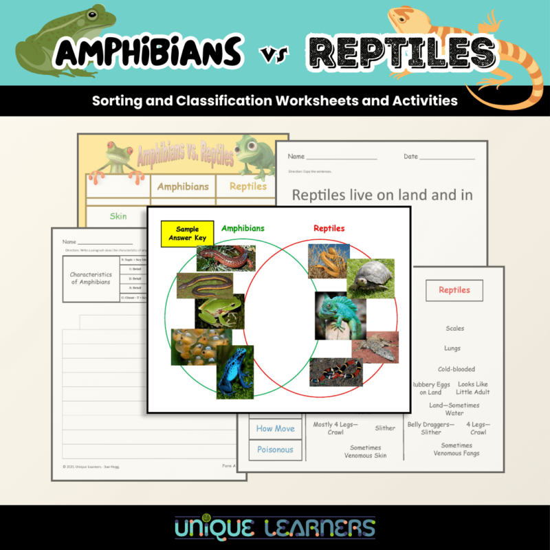 Amphibians VS Reptiles Sorting and Classification Activities Cover Photo