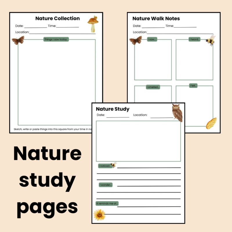 Printable Nature Journal For Kids Charlotte Mason Inspired - Image 3