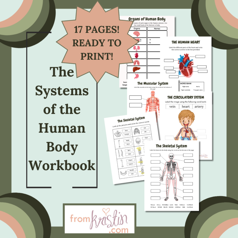 The Systems of the Human Body Review Workbook