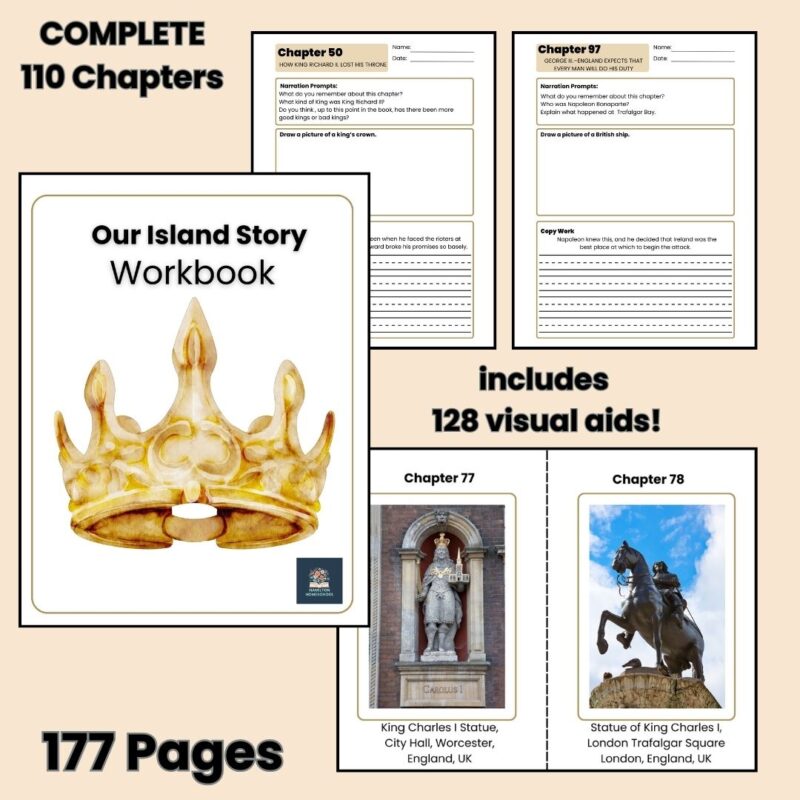 Our Island Story Workbook Complete An Island Story Worksheet Book Companion Visual Aids Study Guide