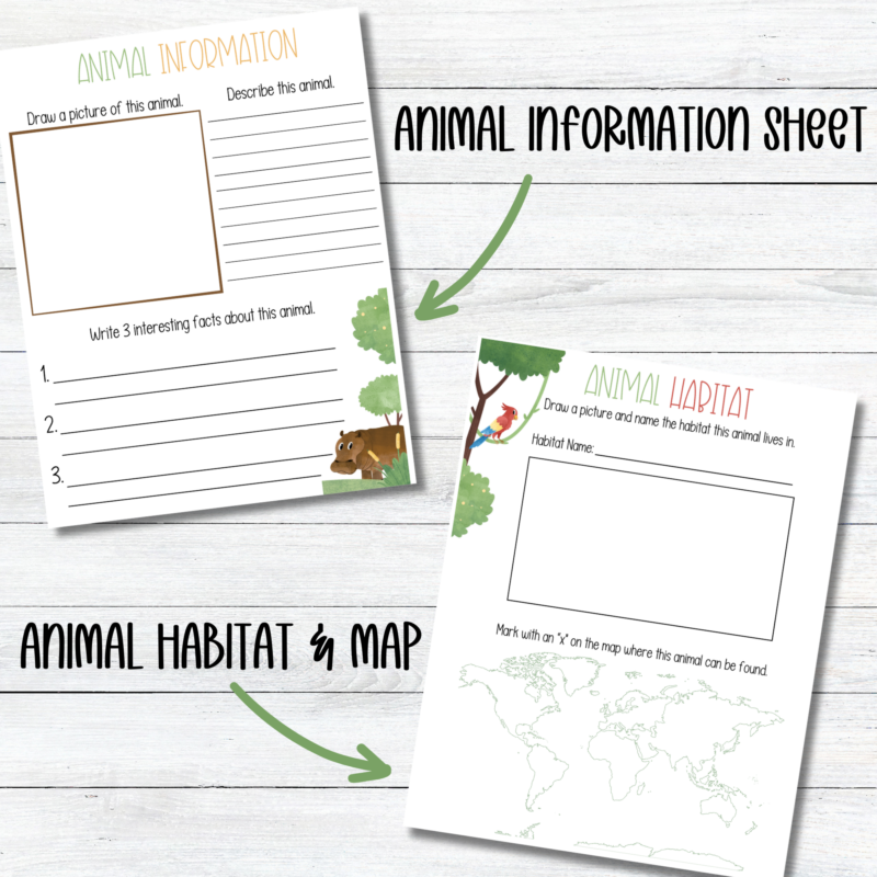 Animal Research Report Printable - Image 3