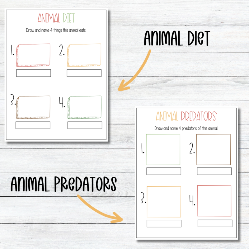 Animal Research Report Printable - Image 2