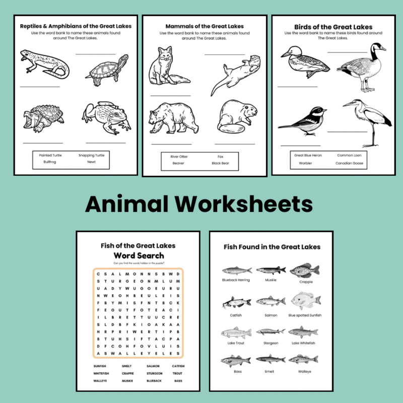 Great Lakes Worksheets and Note Pages Family Learning Resource - Image 4