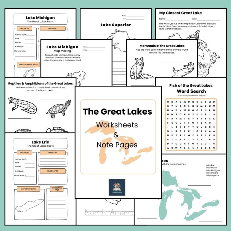 Paddle to the Sea Worksheet Great Lakes Bundle Workbook and Great Lakes Worksheets and Note Pages - Image 2