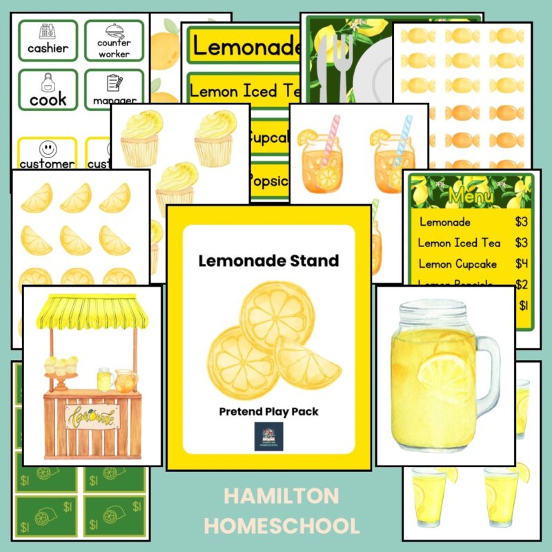 Lemonade Stand Dramatic Play Set Lemon Theme Shop Pretend Play Pack