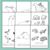 Great Lakes Worksheets and Note Pages Family Learning Resource - Image 5