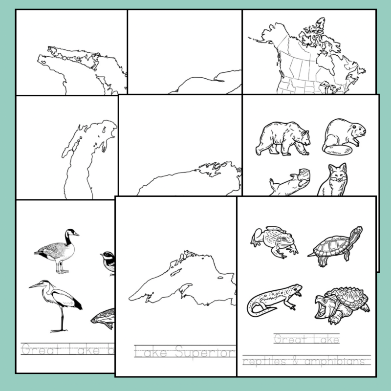 Great Lakes Worksheets and Note Pages Family Learning Resource - Image 5