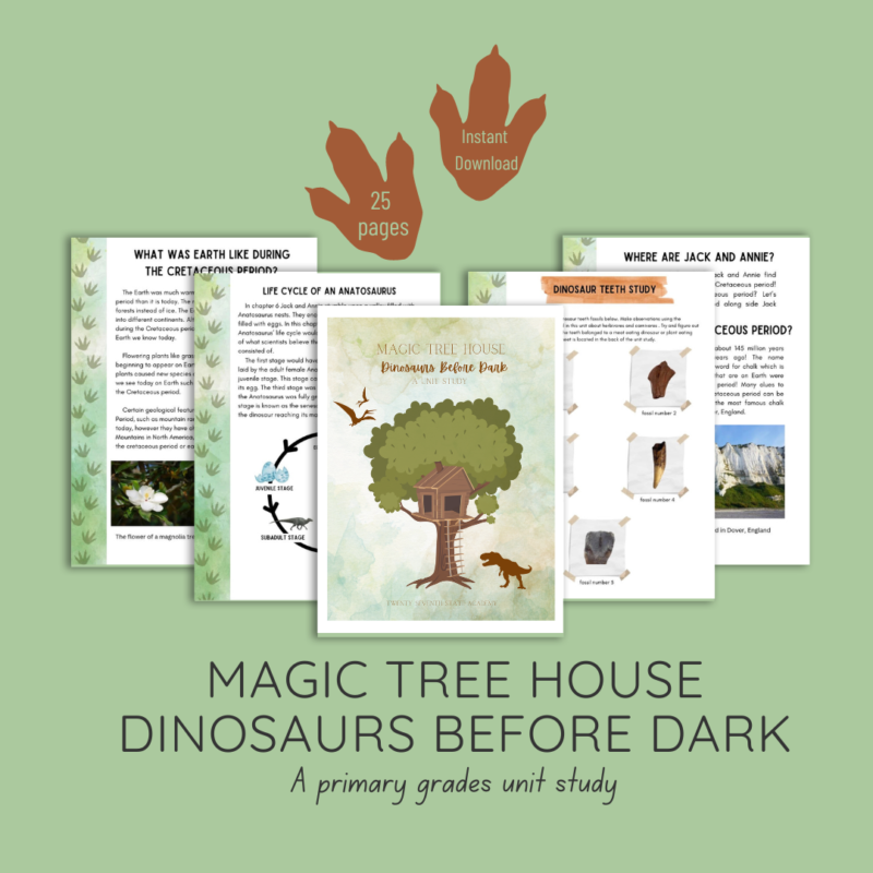 Magic Tree House: Dinosaurs Before Dark Unit Study - Image 3