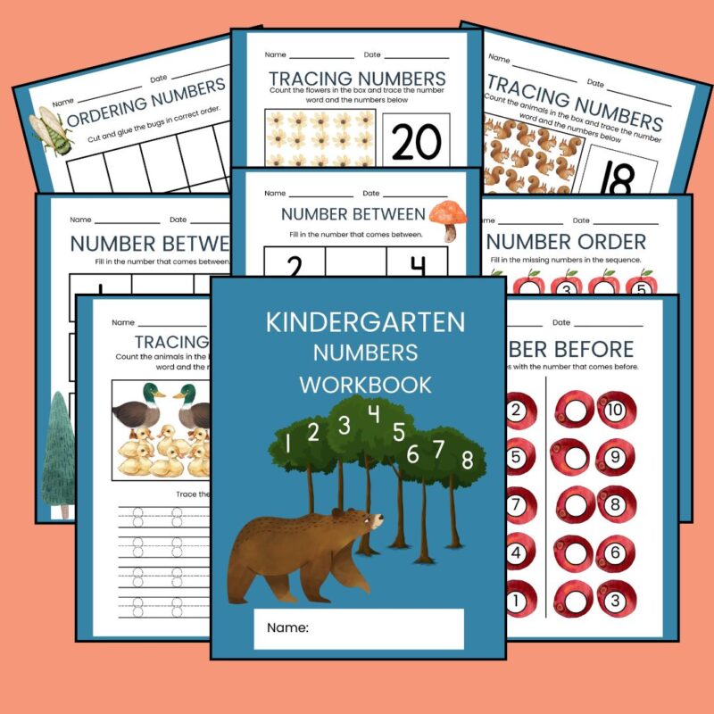 Forest Theme Kindergarten Math Workbook Bundle Numbers, Addition and Subtraction - Image 5