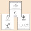 Plant Life Cycle Worksheet and Mini Coloring Book for Preschool and Kindergarten - Image 3