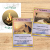 Discover Ancient Egypt | Family Interest Study - Image 4