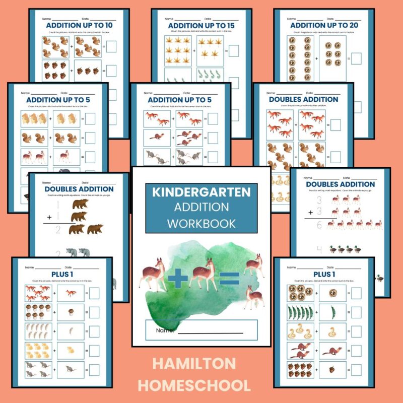 Forest Theme Kindergarten Math Workbook Bundle Numbers, Addition and Subtraction - Image 3