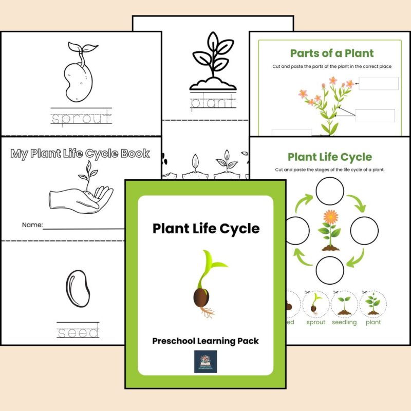 Plant Life Cycle Worksheet and Mini Coloring Book for Preschool and Kindergarten