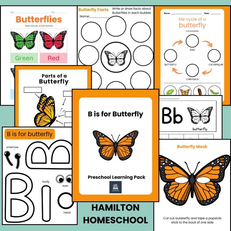 B is for Butterfly Preschool Worksheets Butterfly Life Cycle Pre K Kindergarten Activity Sheets