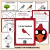 C is for Cardinal Preschool Worksheets Pre K Kindergarten Activity Sheets Bird Life Cycle
