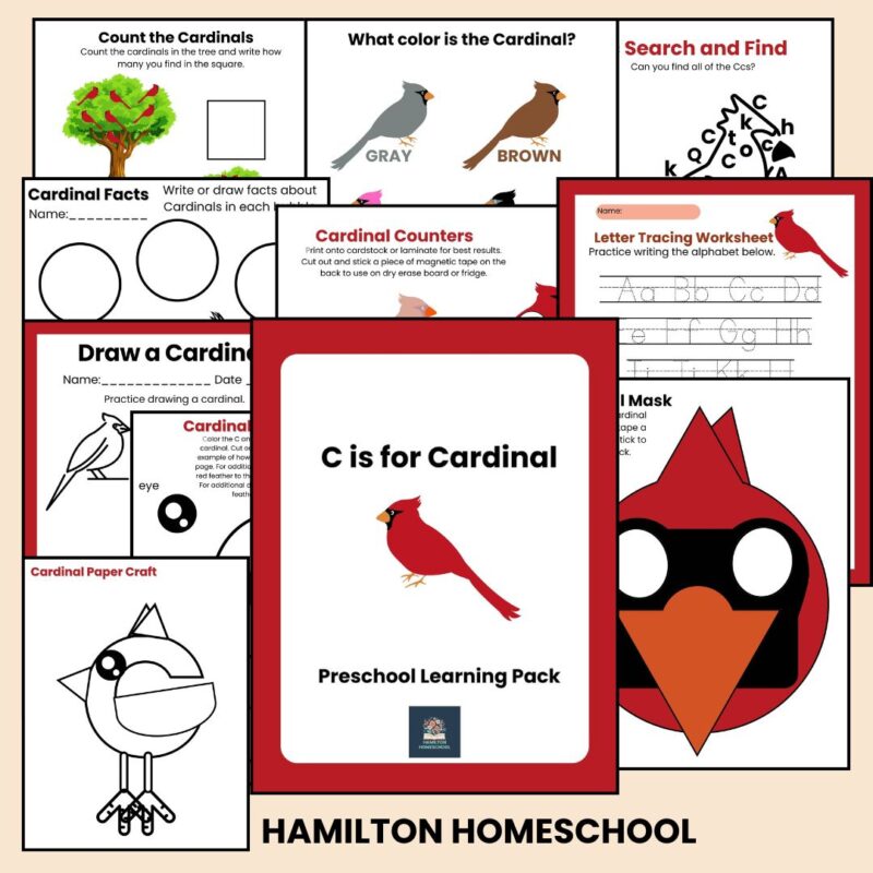 C is for Cardinal Preschool Worksheets Pre K Kindergarten Activity Sheets Bird Life Cycle