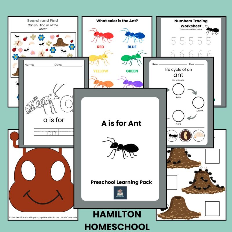 A is for Ant Preschool Worksheets Letter A Week Pre K Kindergarten Ant Activity Sheets