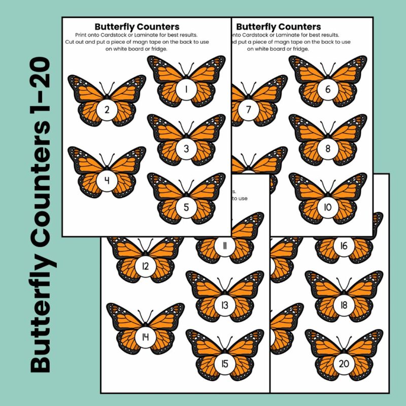 B is for Butterfly Preschool Worksheets Butterfly Life Cycle Pre K Kindergarten Activity Sheets - Image 2