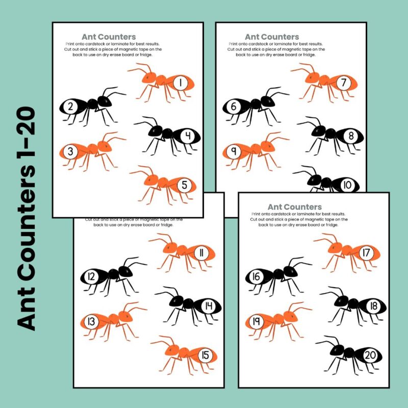 A is for Ant Preschool Worksheets Letter A Week Pre K Kindergarten Ant Activity Sheets - Image 2