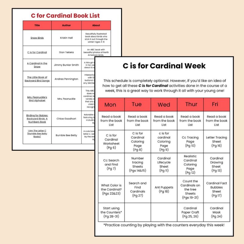 C is for Cardinal Preschool Worksheets Pre K Kindergarten Activity Sheets Bird Life Cycle - Image 3