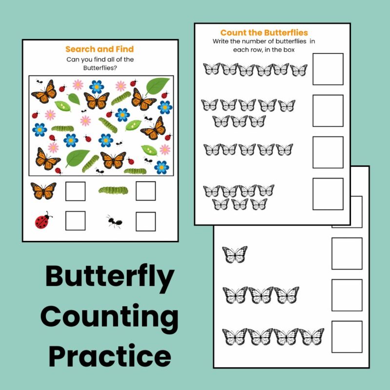 B is for Butterfly Preschool Worksheets Butterfly Life Cycle Pre K Kindergarten Activity Sheets - Image 4