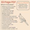 C is for Cardinal Preschool Worksheets Pre K Kindergarten Activity Sheets Bird Life Cycle - Image 5