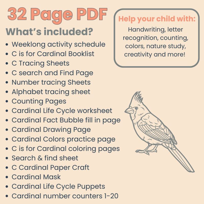 C is for Cardinal Preschool Worksheets Pre K Kindergarten Activity Sheets Bird Life Cycle - Image 5