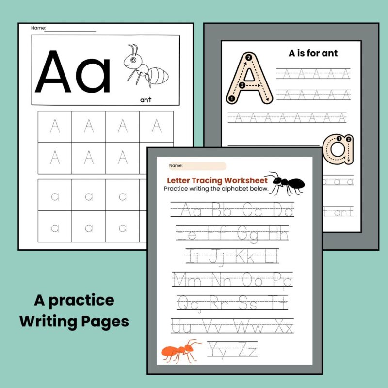 A is for Ant Preschool Worksheets Letter A Week Pre K Kindergarten Ant Activity Sheets - Image 4