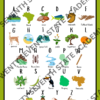 ABCs of South America Poster Print - Image 2