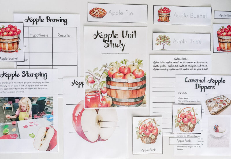 Apple Unit Study