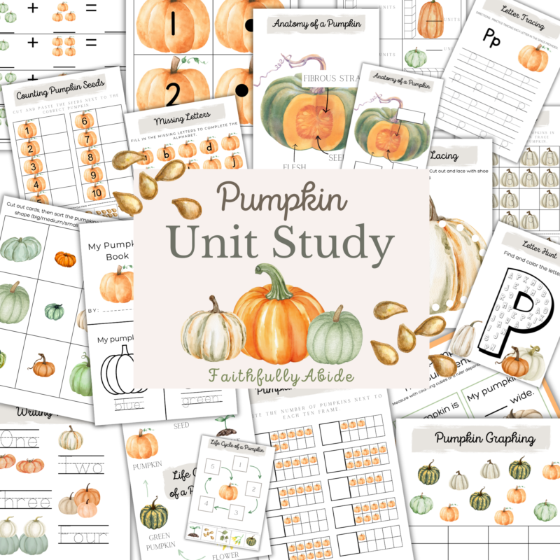 Pumpkin Unit Study