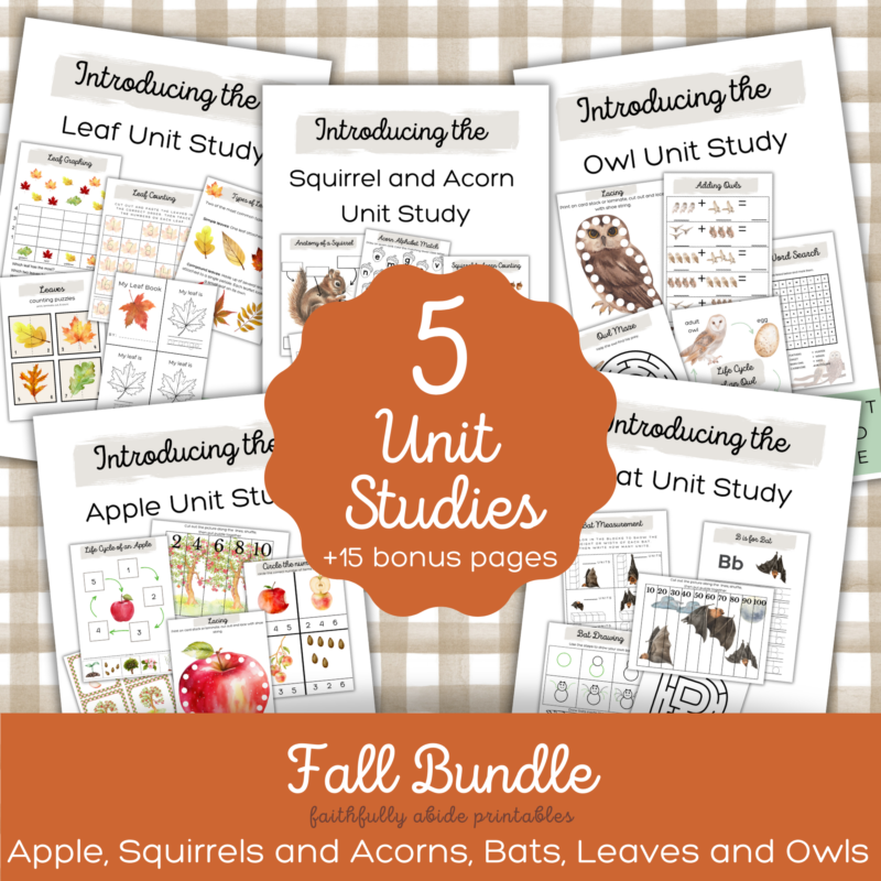 Fall Bundle