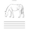 American Girl Unity Study | Kaya - Image 4