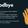 ASL Basic Signs PowerPoint - Image 2