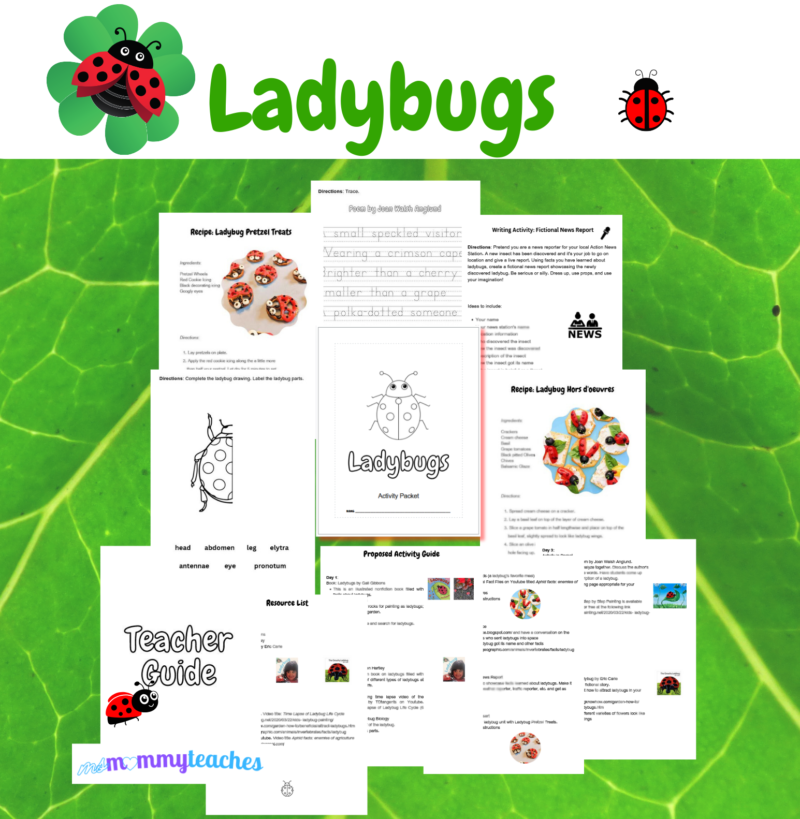 Ladybug Activity Bundle Unit Study