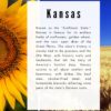 United Tastes of America: Midwest Edition, A State Study and Cookbook - Image 5