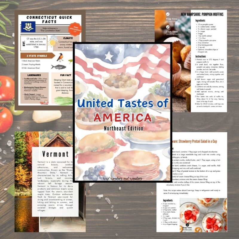 United Tastes of America: Northeast Edition, A State Study and Cookbook