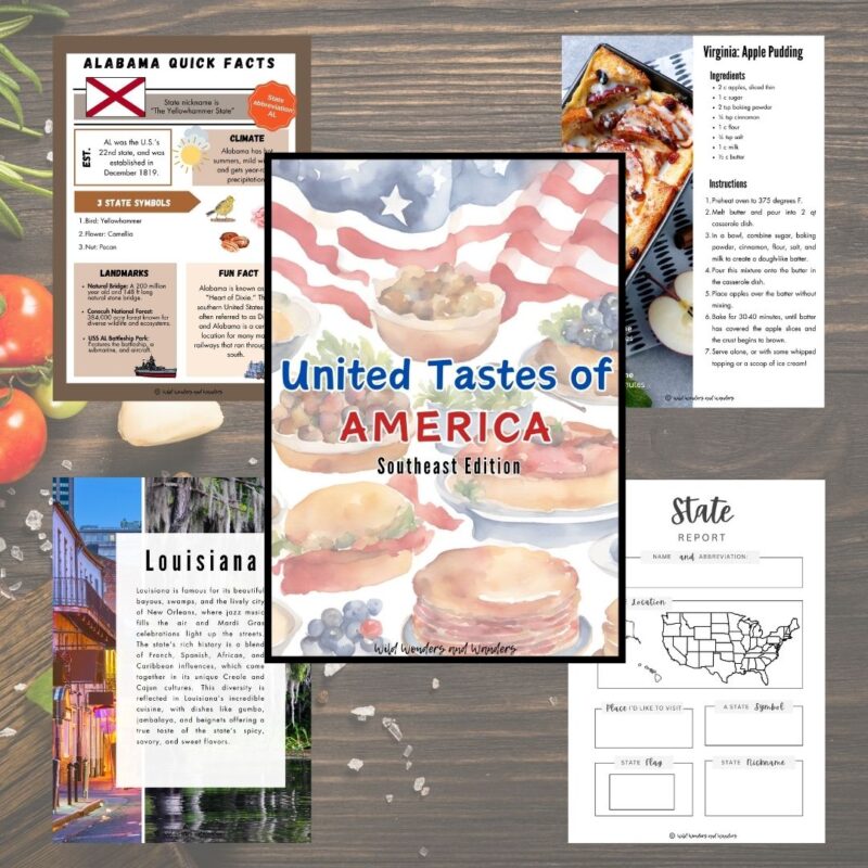 United Tastes of America: Southeast Edition, A State Study and Cookbook