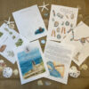 Island of the Blue Dolphins Book Companion Unit Study - Image 2