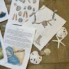 Island of the Blue Dolphins Book Companion Unit Study - Image 3