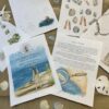 Island of the Blue Dolphins Book Companion Unit Study - Image 4