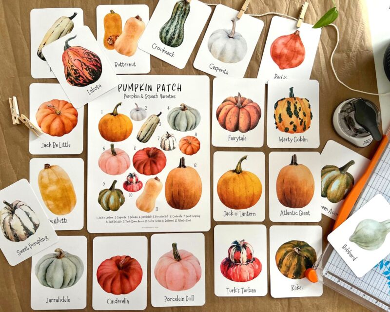 Pumpkin cards, Pumpkin and squash poster, Halloween activity, Homeschool fall activity