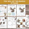 Squirrel unit study,Fall homeschool printables, Squirrel anatomy,Squirrel poster - Image 2