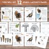 Turkey Unit Study, Fall Homeschool printable, Thanksgiving learning, Wild Turkey anatomy - Image 2