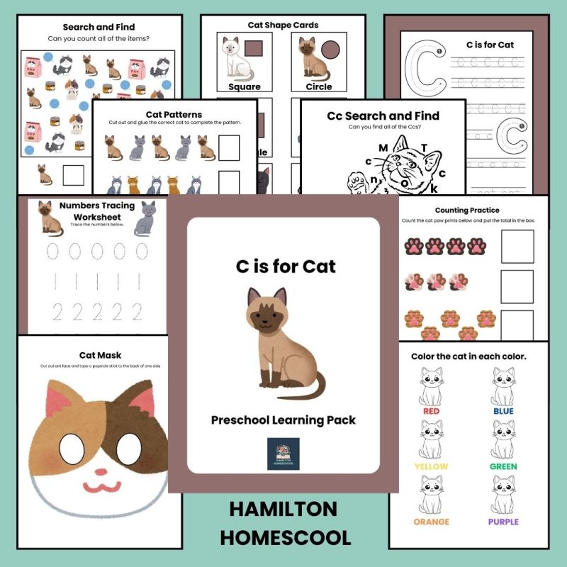 C is for Cat Preschool Activity Sheets Pre K Kindergarten Cat Theme Worksheets Learning Pack